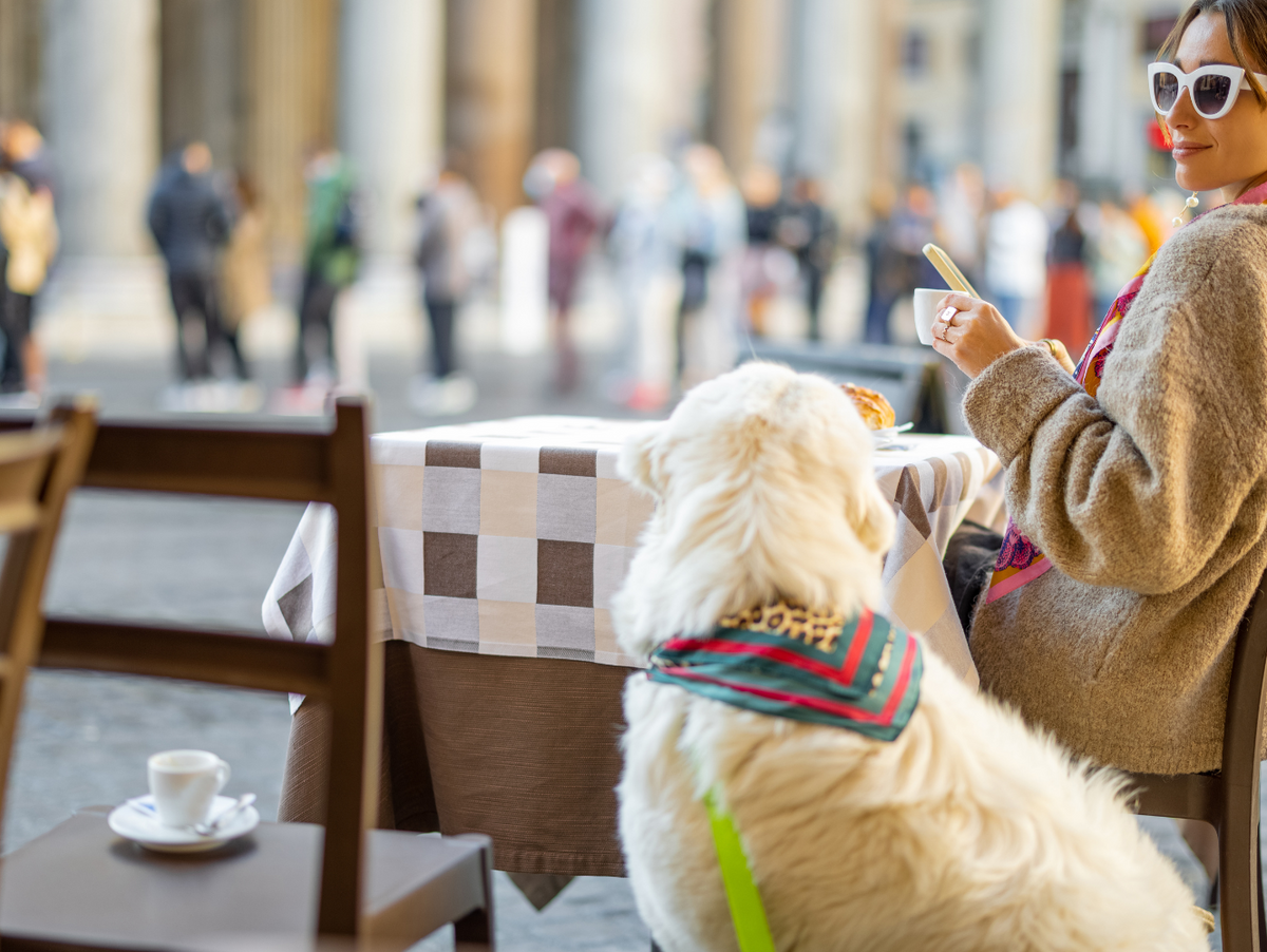 Cafes Offer So Much More Than Just a Cup of Coffee