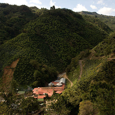 Birds Eye View of COO Cooperative Costa Rica