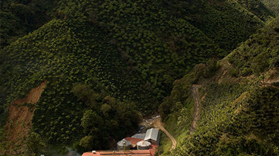 Birds Eye View of COO Cooperative Costa Rica