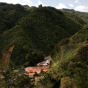 Birds Eye View of COO Cooperative Costa Rica